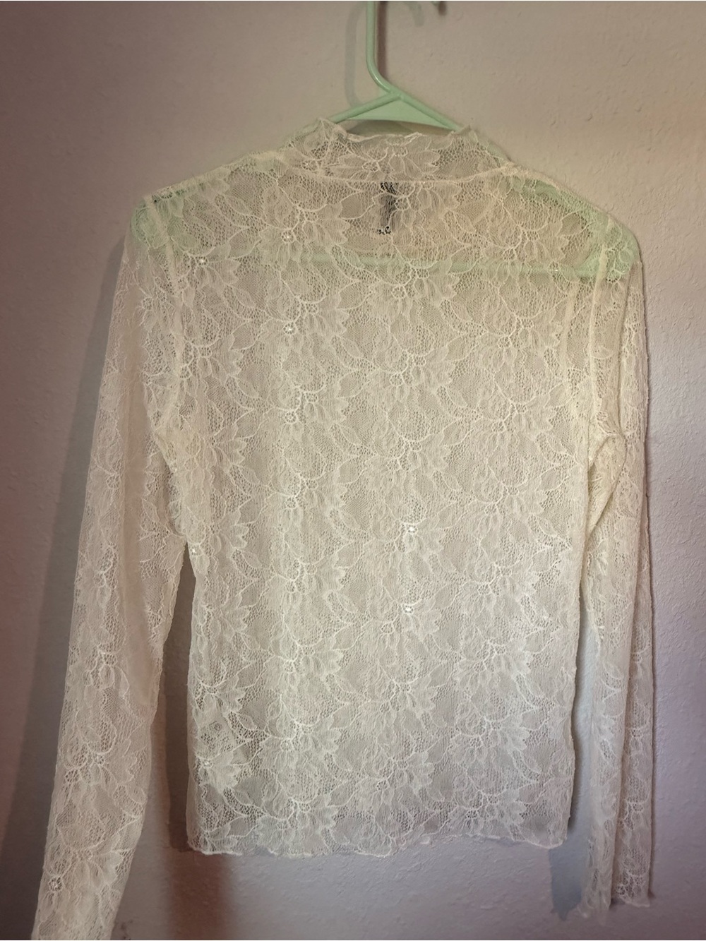 Anthropologie Ivory Sheer Floral Lace Long-Sleeve Top - Picture 5 of 5